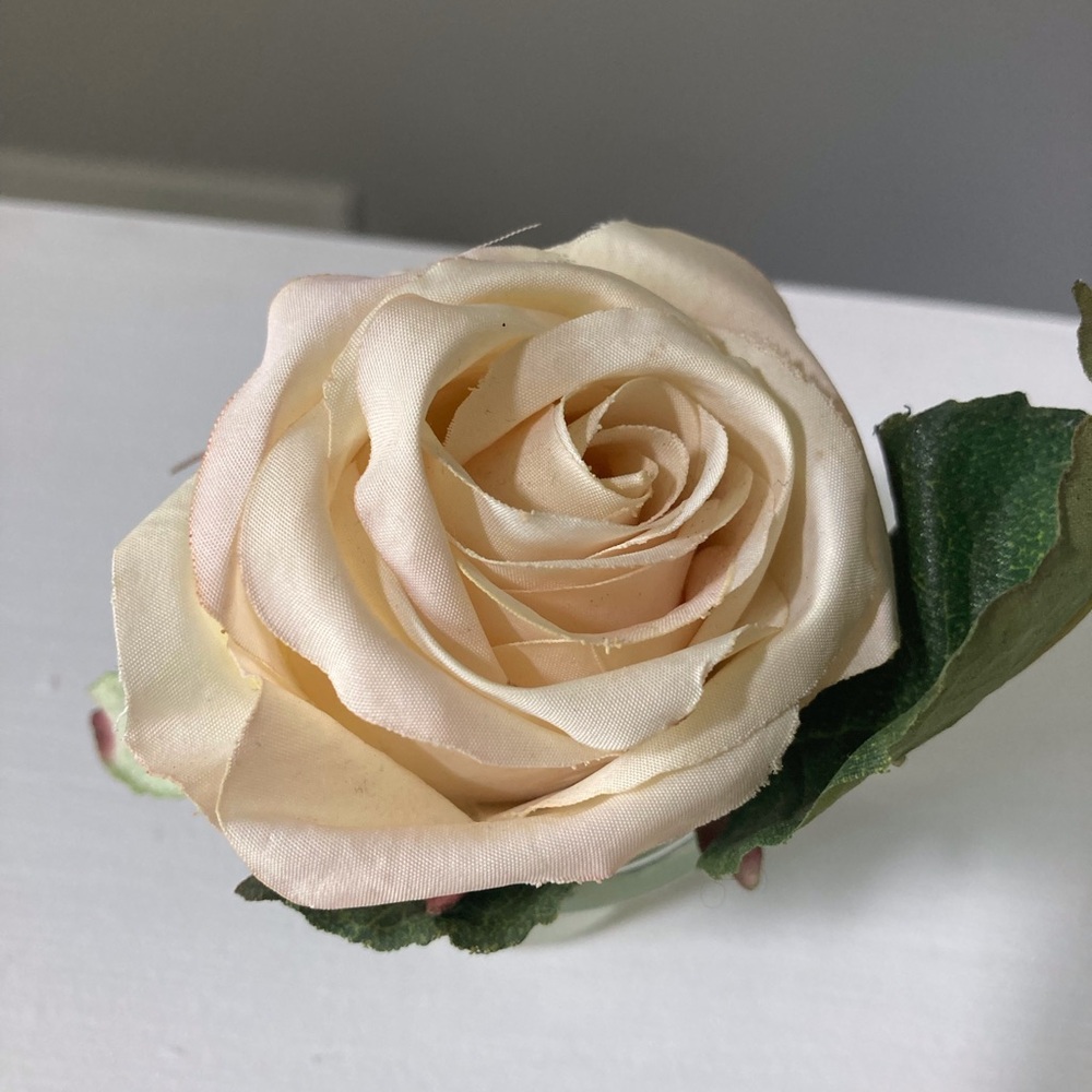 Elegant Cream Rose Accent